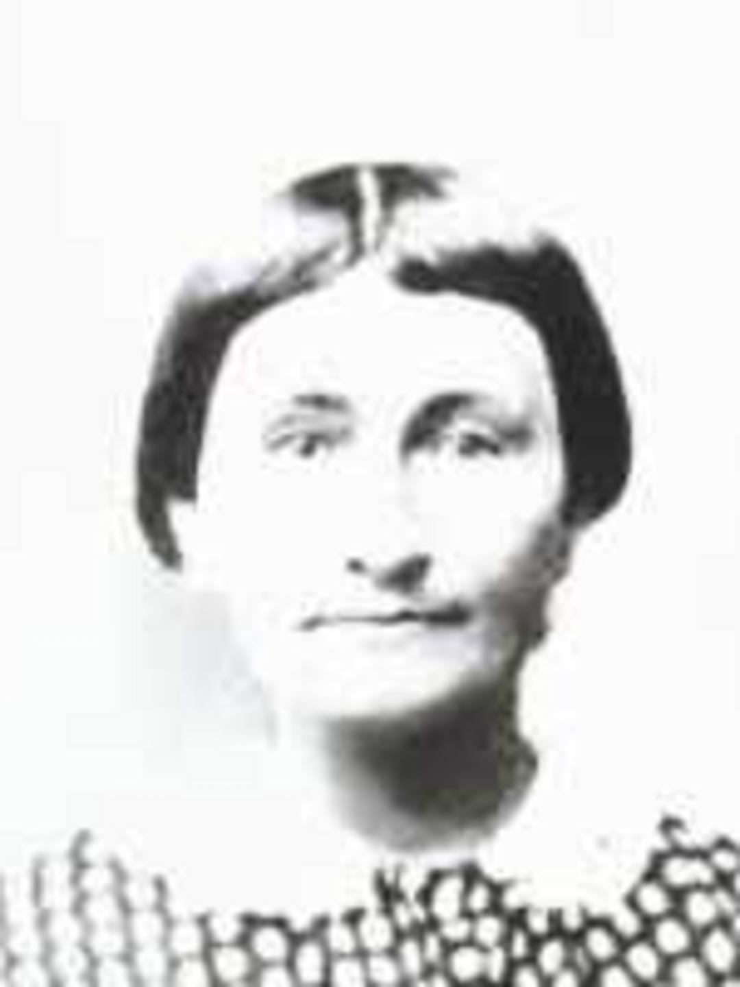 Hannah Chamberlain (1826 - 1889) Profile